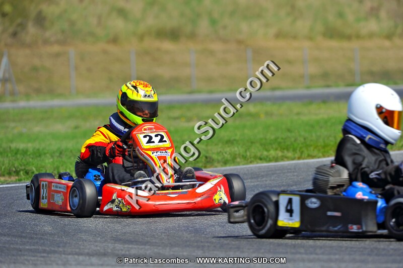DSC_ (1330).jpg